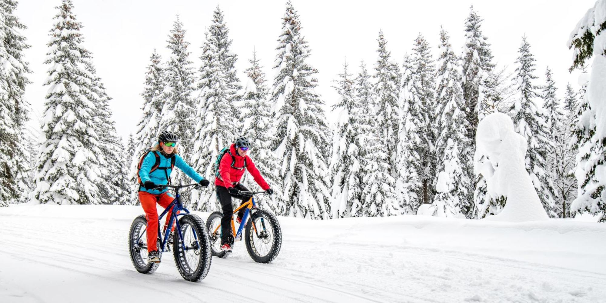 Talkeetna Aerie Adventure Lodge Luaran gambar